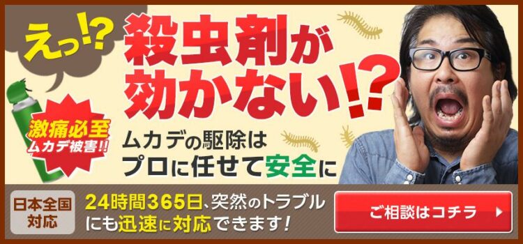 ムカデ駆除のおすすめサービス