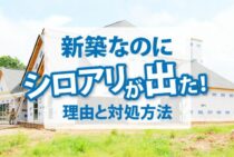 新築なのにシロアリが出た！気になる理由と対処方法についてご紹介