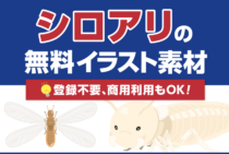 シロアリの無料イラスト素材【10点】！登録不要、商用利用もOK